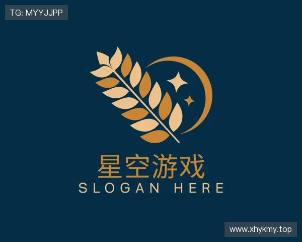 认识星空游戏网官网